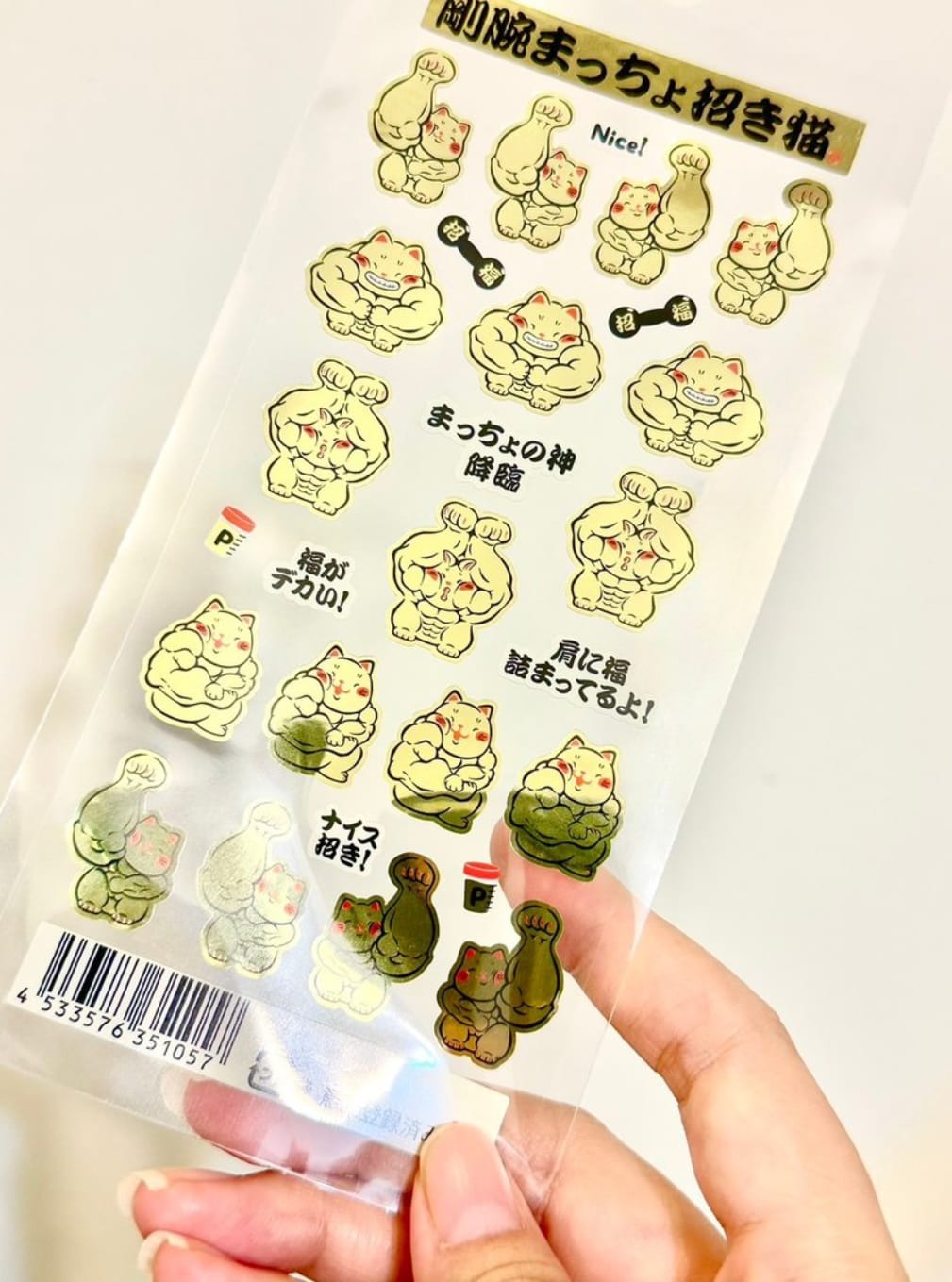 LHZ-021601 Long Hu Zuo Limited Editions Sticker Packs(S)