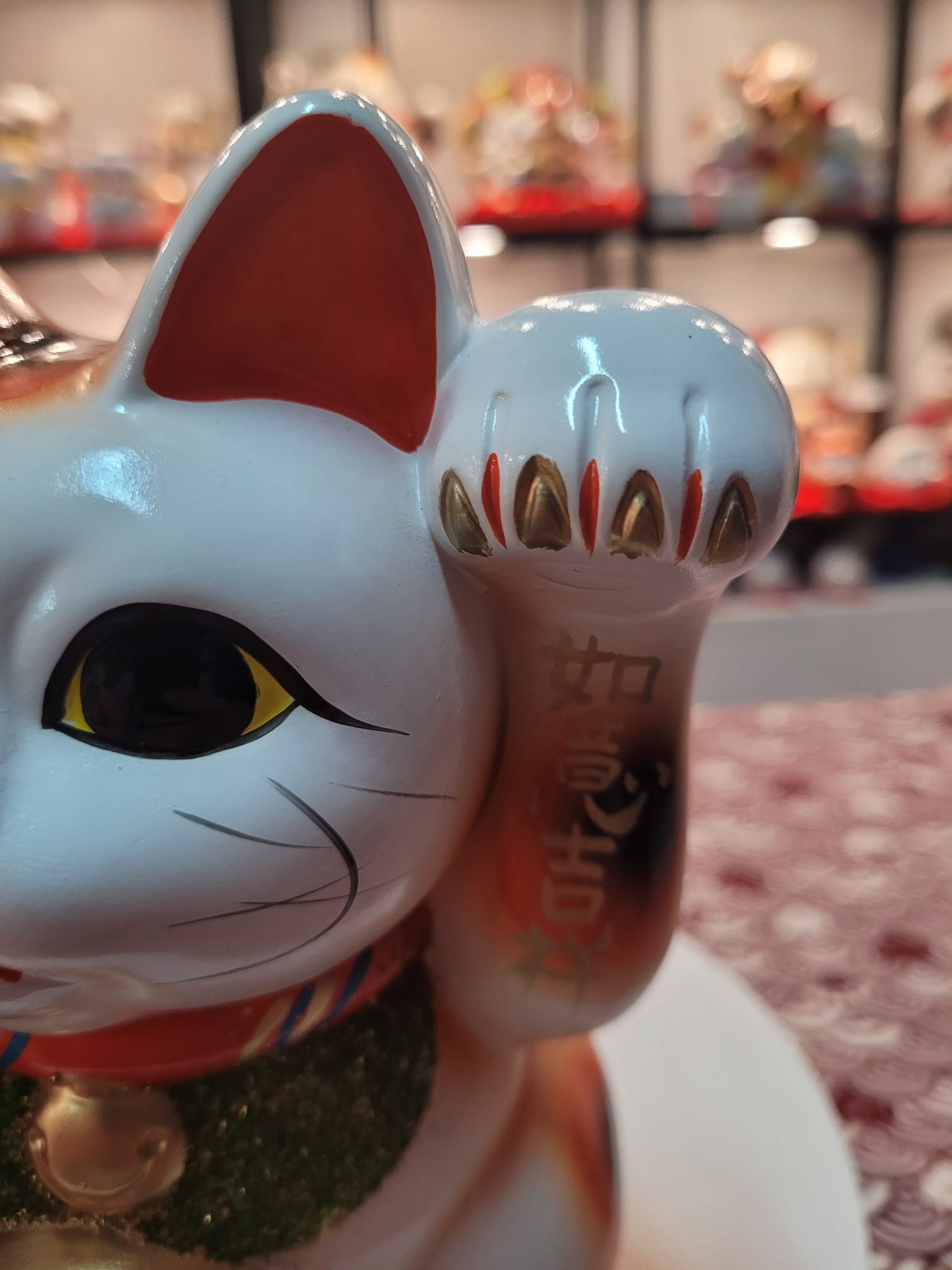 JP-293719 Tokonameyaki Fortune Cat w Daruma  (M)